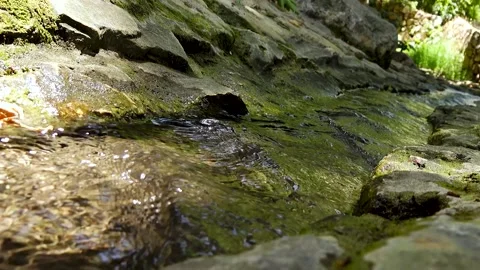 A spring of water, Maayan Vidéo 167686266