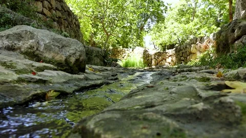 A spring of water, Maayan 스톡 동영상 167686397