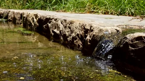 A spring of water, Maayan Vidéo 167686454