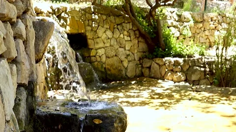 A spring of water, Maayan Vidéo 167687266
