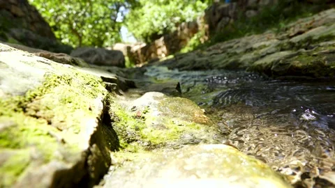 A spring of water, Maayan Vidéo 167688484