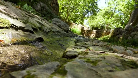 A spring of water, Maayan Vidéo 167688515