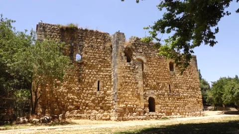 A spring of water, Maayan Vidéo 167688983