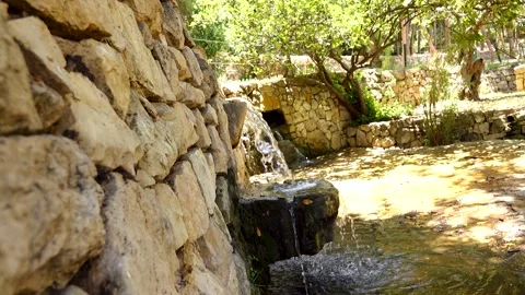 A spring of water, Maayan Vidéo 167689007