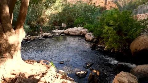 A spring of water, Maayan Vidéo 167691009