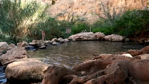 A spring of water, Maayan Vidéo 167691023