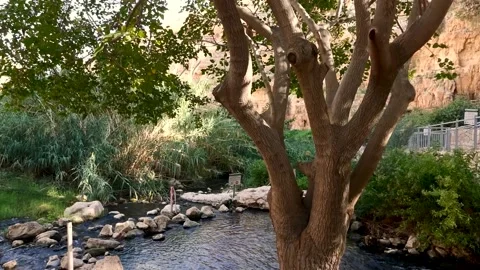 A spring of water, Maayan Vidéo 167691382