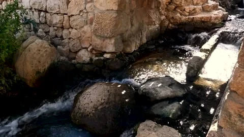 A spring of water, Maayan Vidéo 167691624