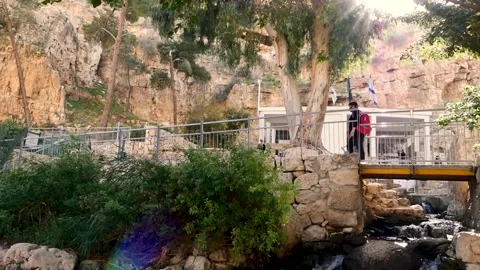 A spring of water, Maayan Vidéo 167691896