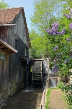 Spring at the Water Mill Free Stock Photos