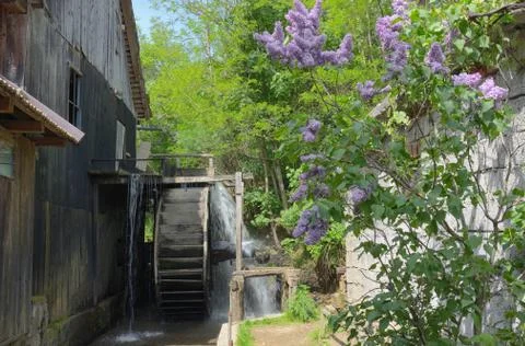 Spring at the Water Mill Free Stock Photos