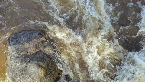 Spring water in mountain river in the sunlight, close-up. Vídeos de archivo 163403023