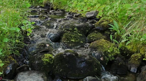 Spring water in a mountain stream Stock Footage 42387915