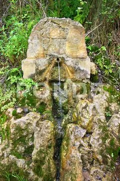 Spring water Stock Photos