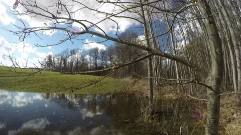 Spring water puddle on  field near forest and clouds, time lapse 4K Video stock 74323908