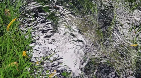 Spring-water source, a spring.Environmentally friendly water. Stock Footage 44171191