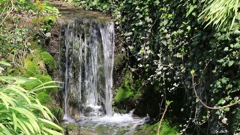 Spring water stream flowing in small waterfall Stock Footage 84656587