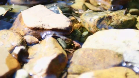 Spring water stream flowing on the stone pebbles Stock Footage 148696892