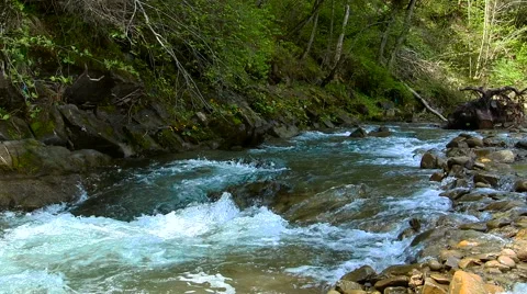 Spring water stream Stock Footage 65826500