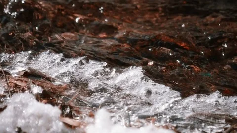 Spring Water Stream Stock Footage 81540271