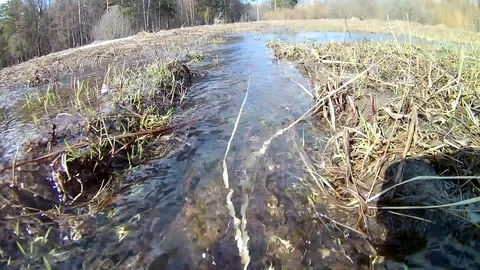 Spring Water Stream Looped Stock Footage 102912825