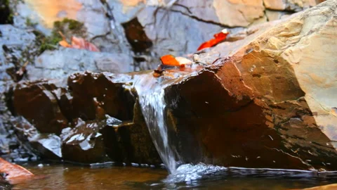 Spring Water Stream sound on fallen winter leaves in forest relax 库存影片 162649069