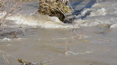 The spring water washes away all in its path Video stock 89397858
