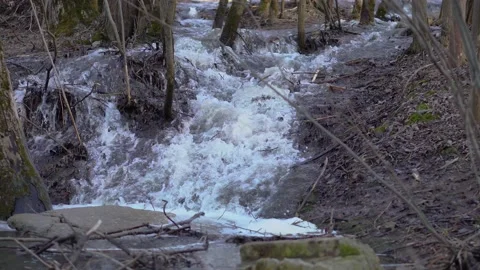 The spring waterfall 動画素材 152269024