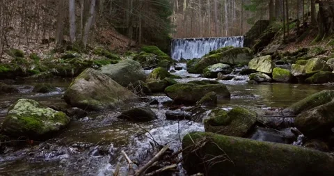 A spring waterfall in the forest, surrounded by blooming plants and lush trees. Stock Footage 303020248