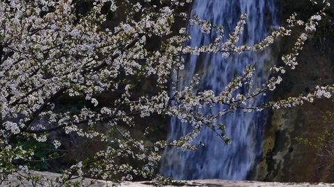 Spring waterfall in the mountain gorge 4K Stock Footage 84566084