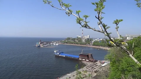 Spring on the waterfront Vídeo Stock 86971818