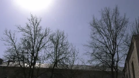Spring weather, nature Video stock 153096699