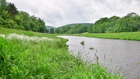Spring wether river park overcast sky 8x speed tall grass in the wind, movi.. Stock Footage 276387907