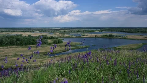 Spring Wetlands and Sage Covered Hills in Nyzhnovorsklyanskyi Stock Footage 336025705