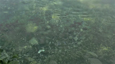 Spring where Ceyhan River begins to flow Video stock 51256881