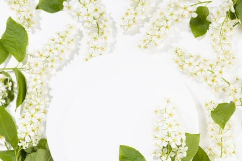 Spring white blank round card for text mockup soar with pattern of white bird Foto stock