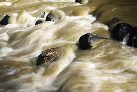Spring wild flooding of river Stock Photos
