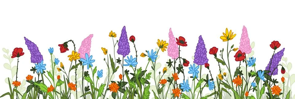 Spring wild flowers border, red poppy, daisy Illustrazione stock