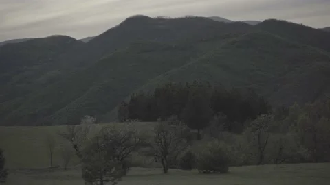 Spring wild landscape Stock Footage 154770948