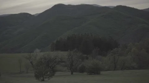 Spring wild landscape Stock Footage 154770970