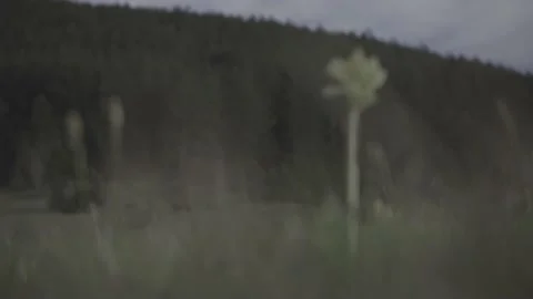 Spring wild landscape Stock Footage 154771090