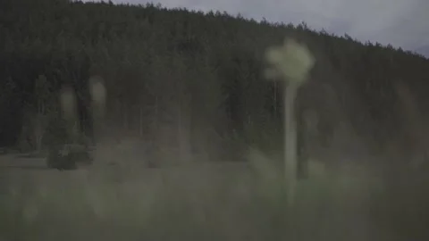 Spring wild landscape Stock Footage 154771093