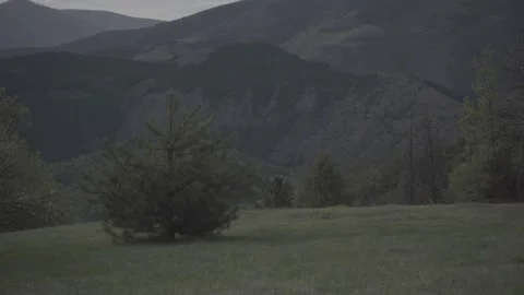 Spring wild landscape Stock Footage 154771192