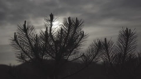 Spring wild landscape Stock Footage 154771318