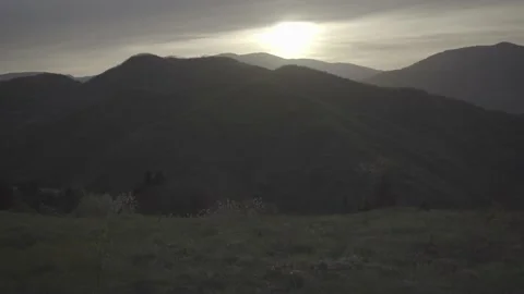 Spring wild landscape Stock Footage 154771545