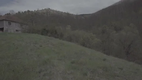 Spring wild landscape Video stock 231429301