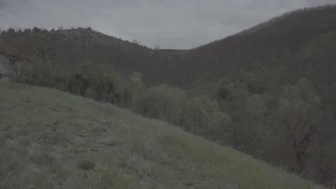 Spring wild landscape Video stock 231429551