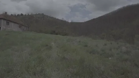 Spring wild landscape Video stock 231429673