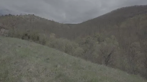 Spring wild landscape Video stock 231429917