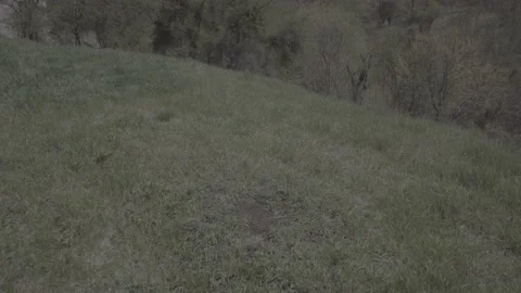 Spring wild landscape Video stock 231430168